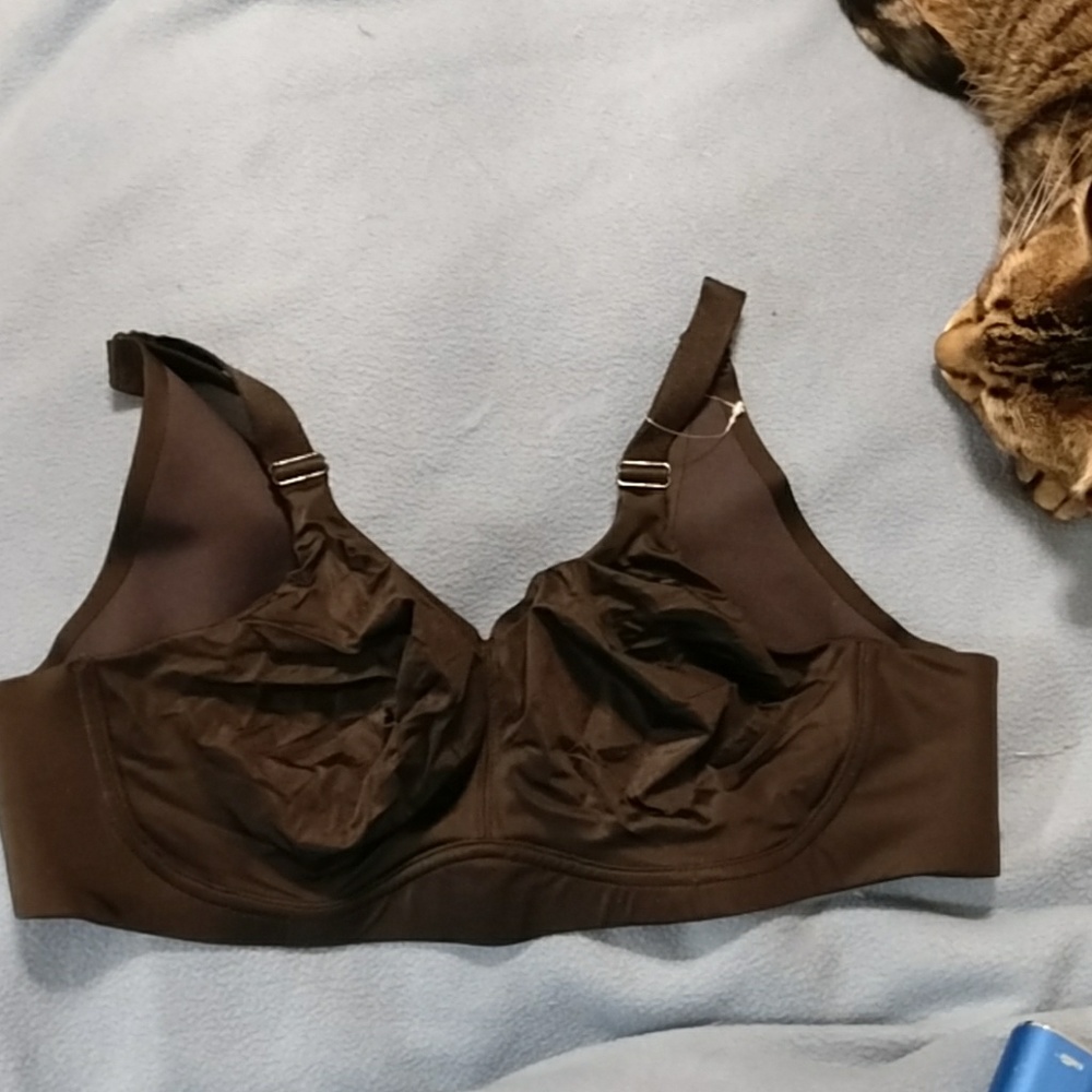 Serenada backsmoother bra 38c